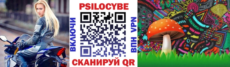закладки Аксай Галлюциногенные грибы мухоморы