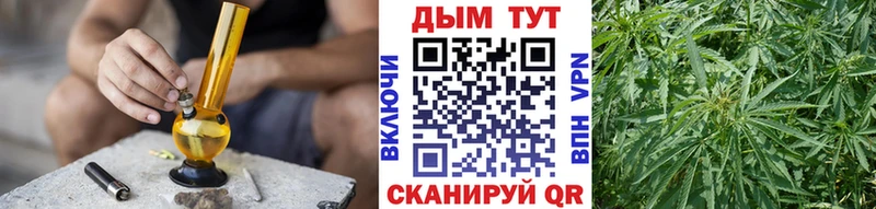 закладка  Аксай  Каннабис гибрид 